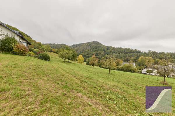 Veldenz: Zweifamilienhaus mit ELW und Fernblick