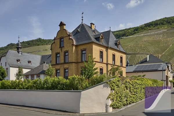 Exzellent sanierte Villa von 1896 mit Moselblick