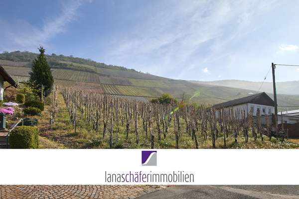 Graach: Baugrundstück mit Moselblick