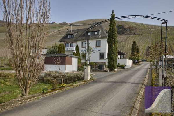 Idyllischer Moselhof inmitten berühmter Weinlagen - nur 1 km vor Bernkastel-Kues
