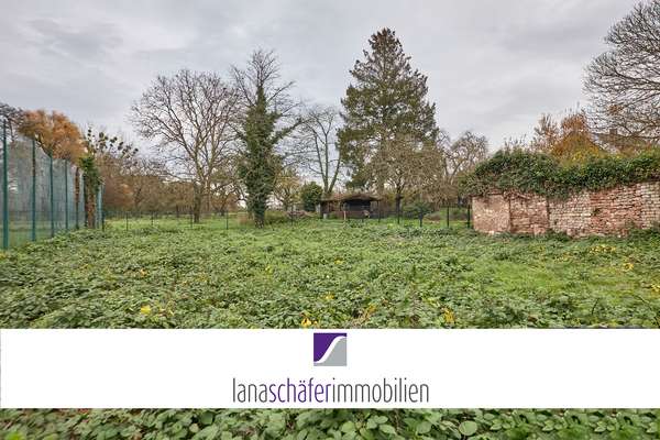 Schweich: Baugrundstück für Ein- oder Mehrfamilienhaus