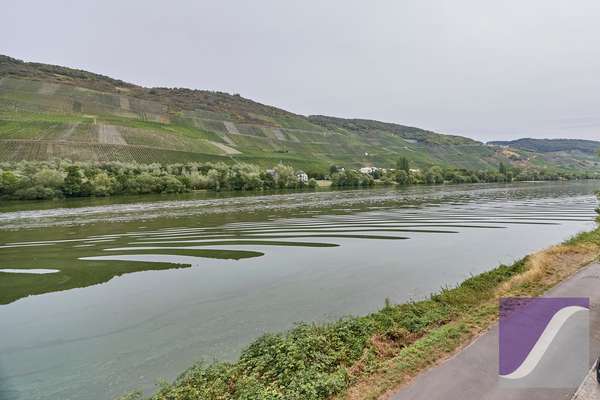Bernkastel-Kues: Wohnhaus mit Garten und unverbaubarem Moselblick