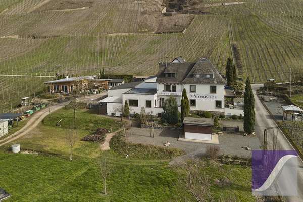 Idyllischer Moselhof inmitten berühmter Weinlagen - nur 1 km vor Bernkastel-Kues