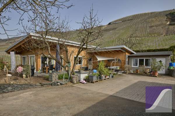 Idyllischer Moselhof inmitten berühmter Weinlagen - nur 1 km vor Bernkastel-Kues