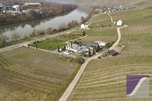 Idyllischer Moselhof inmitten berühmter Weinlagen - nur 1 km vor Bernkastel-Kues