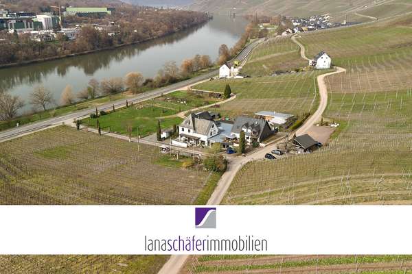 Idyllischer Moselhof inmitten berühmter Weinlagen - nur 1 km vor Bernkastel-Kues