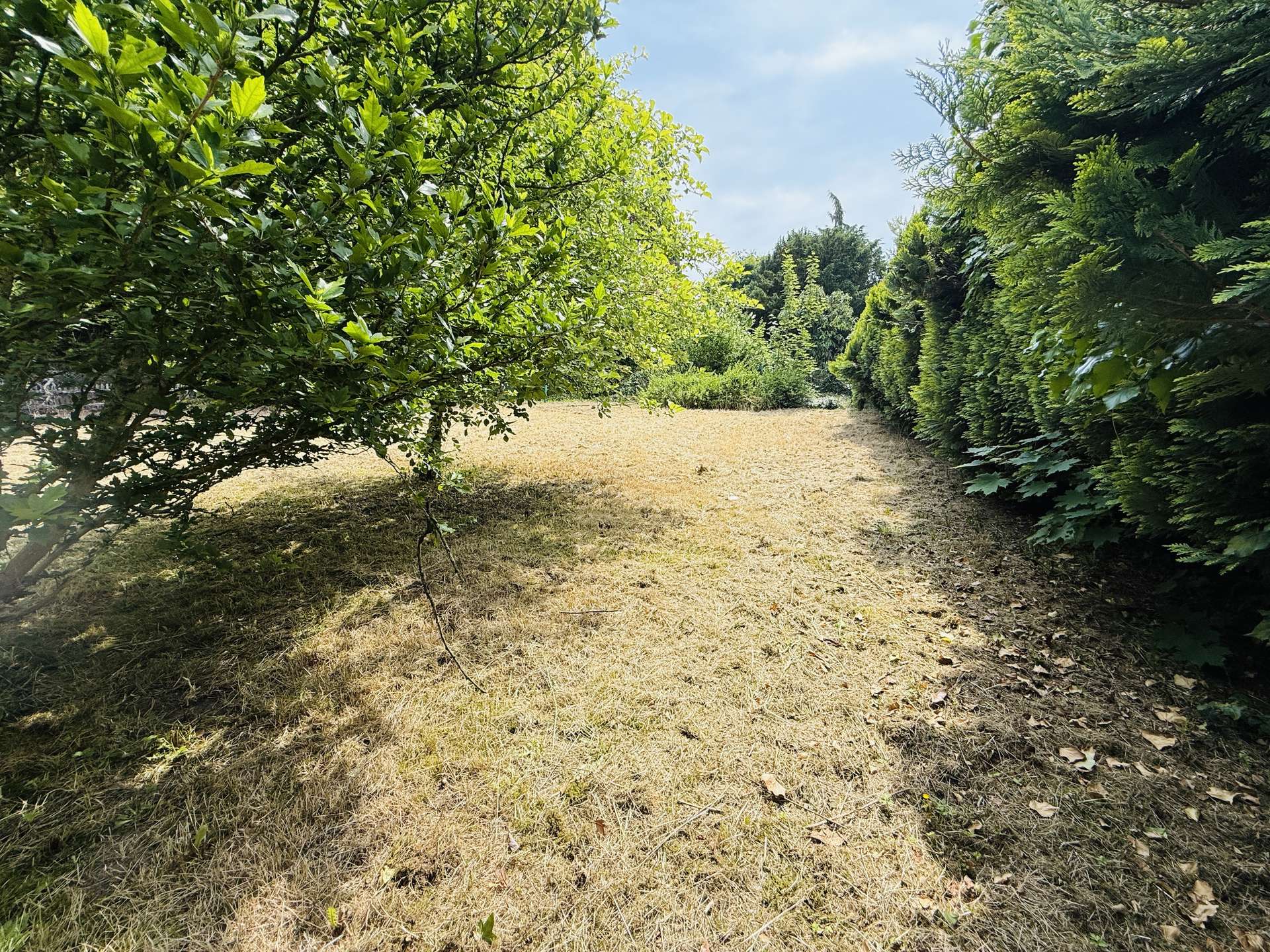 Attraktives Baugrundstück mit individueller Planungsmöglichkeit in Erkelenz – Ansicht 7