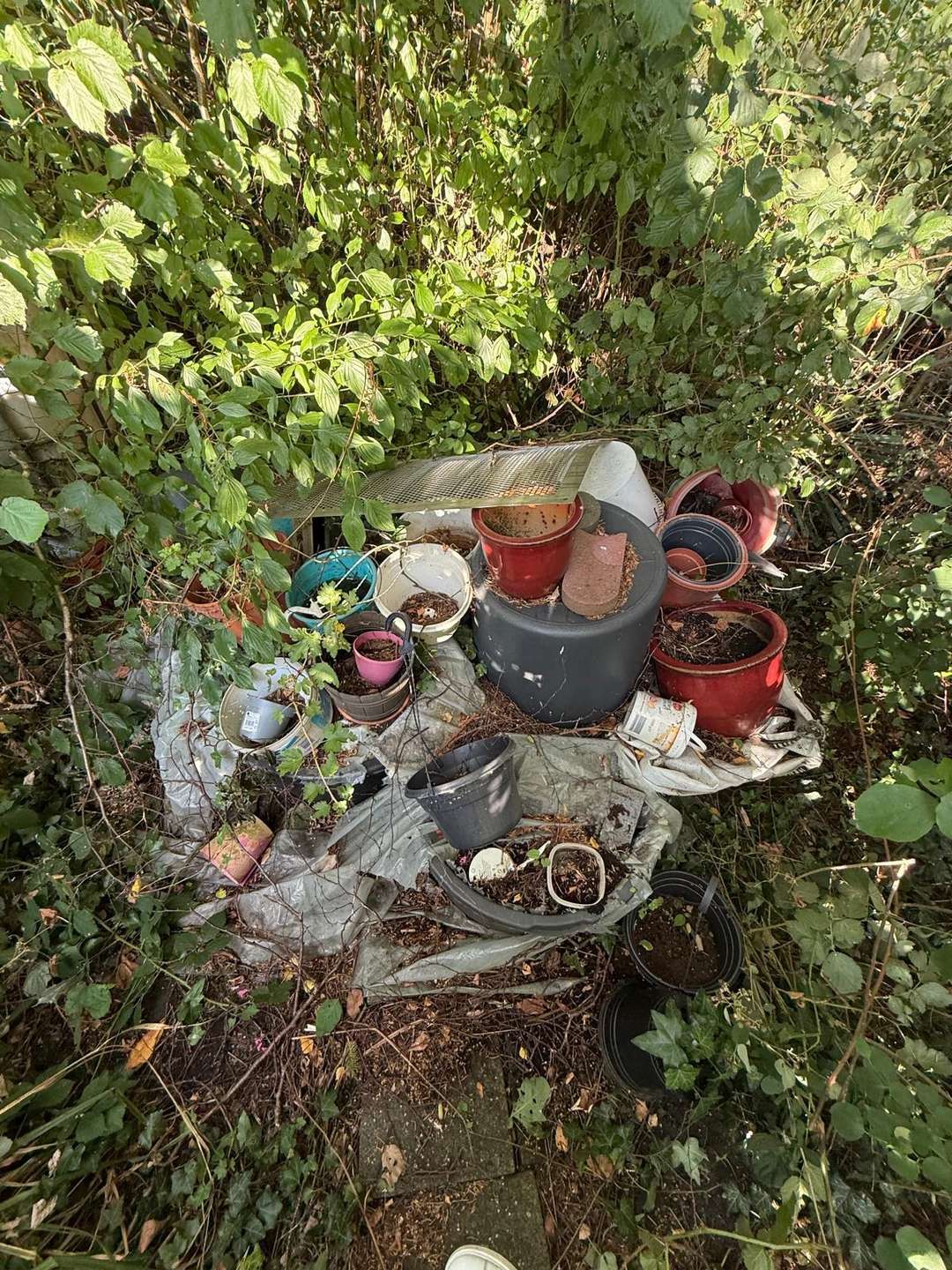 Stilvoll saniertes Mehrfamilienhaus – modernisiert und vielseitig nutzbar in Castrop-Rauxel – Ansicht 44