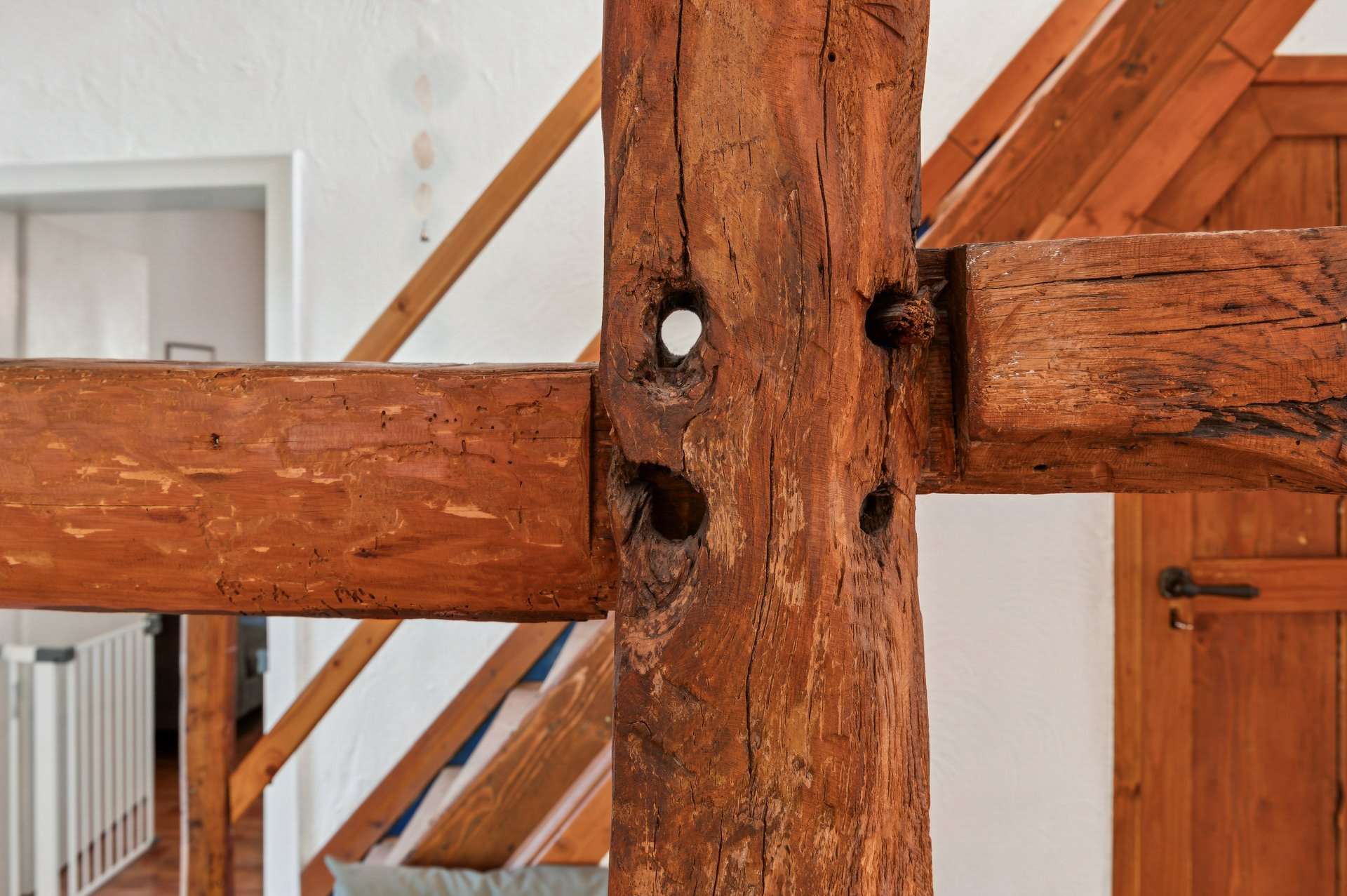 Historisches Fachwerkhaus mit eigenem Waldgrundstück und außergewöhnlicher Privatsphäre in Witten – Ansicht 8