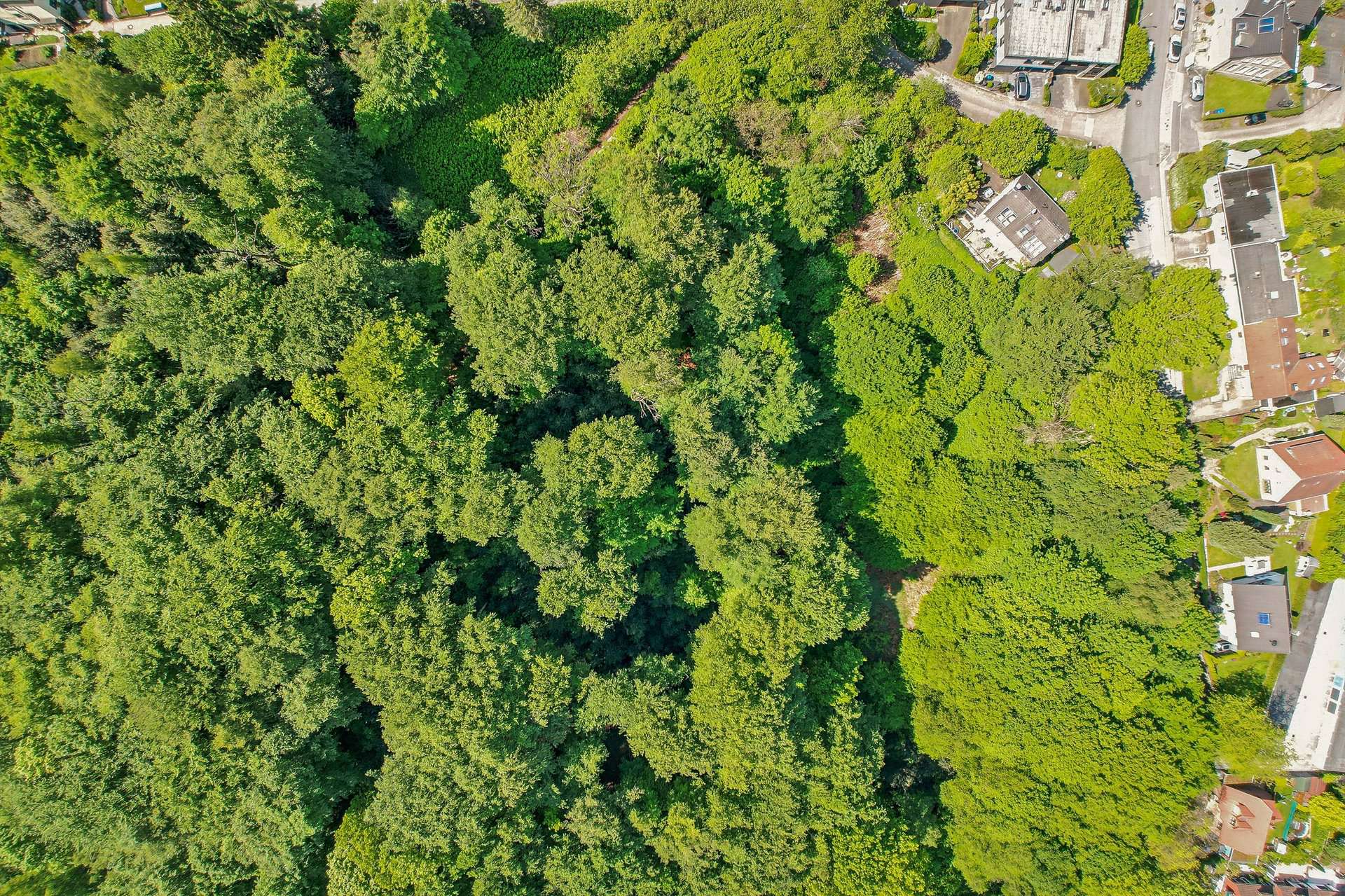 Historisches Fachwerkhaus mit eigenem Waldgrundstück und außergewöhnlicher Privatsphäre in Witten – Ansicht 30