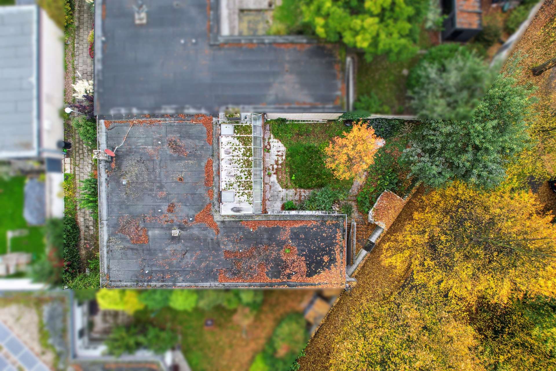 Bungalow mit großem Potenzial in bester Lage – Ihr Zuhause mit Charme und Gestaltungsspielraum in Marl – Ansicht 23