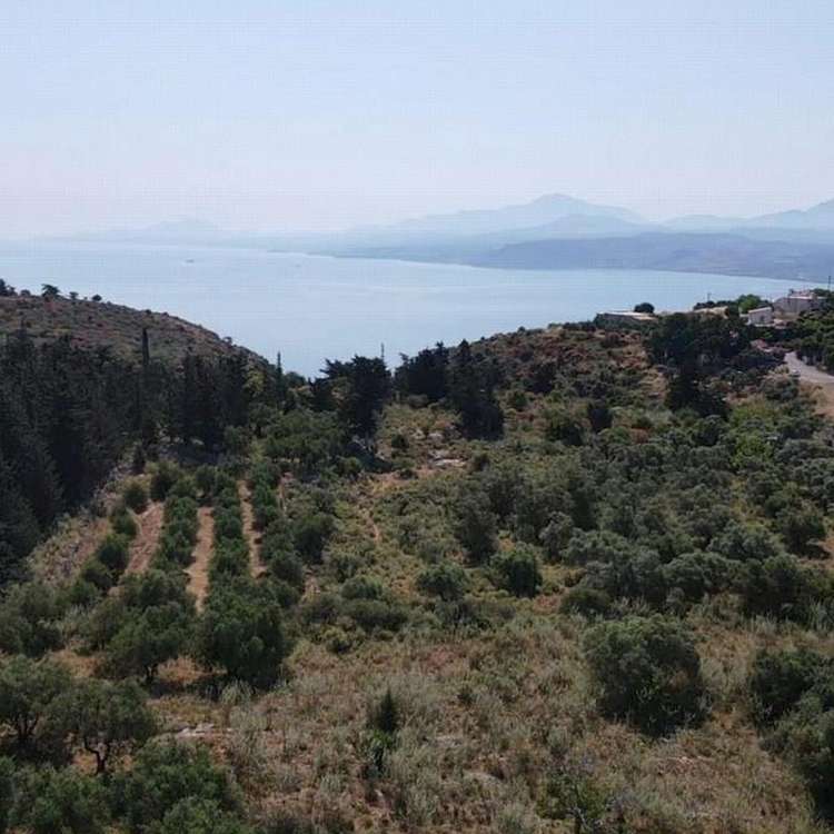 Aussicht