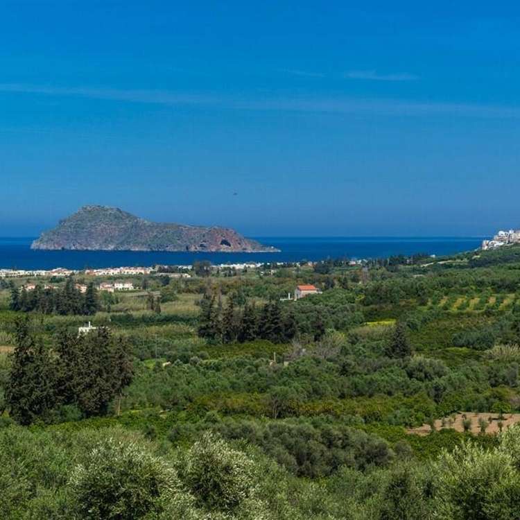 Aussicht
