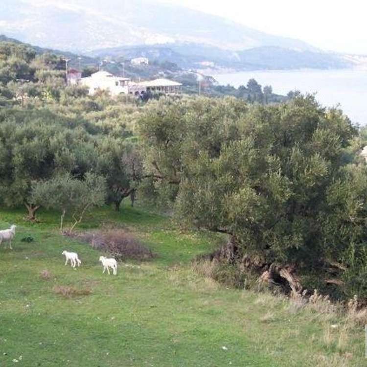 Aussicht