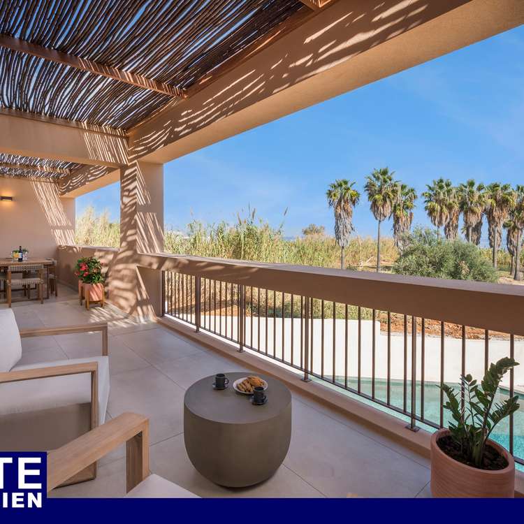 Olive Courtyard Collection 004