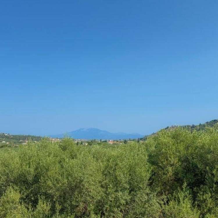 Aussicht