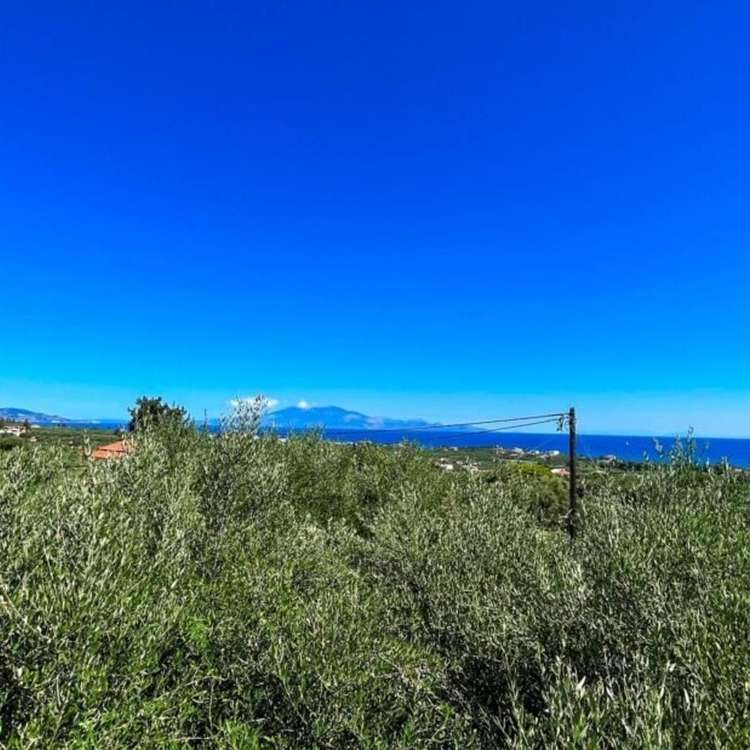 Aussicht