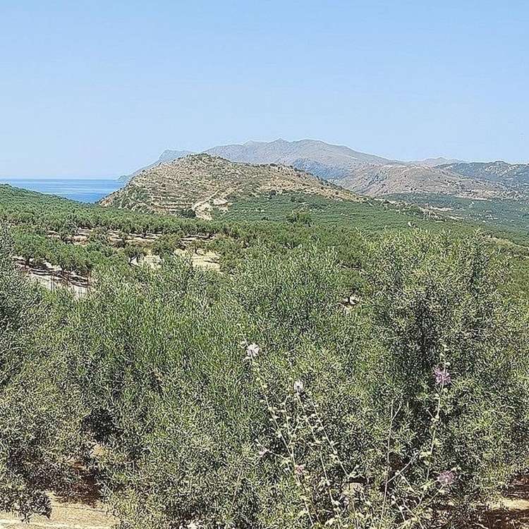 Aussicht