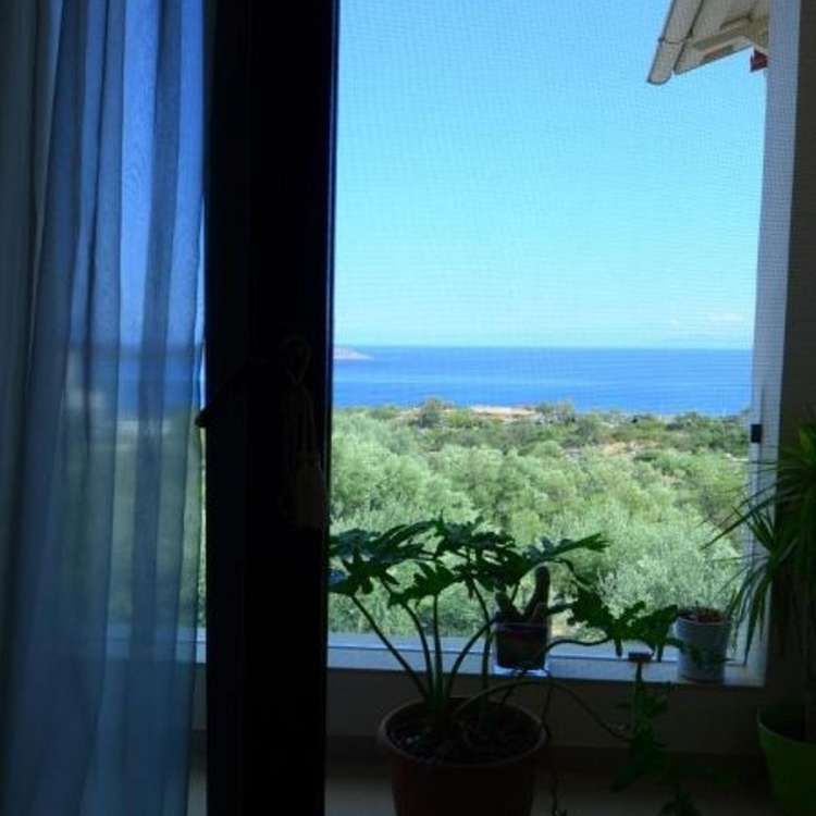 Aussicht