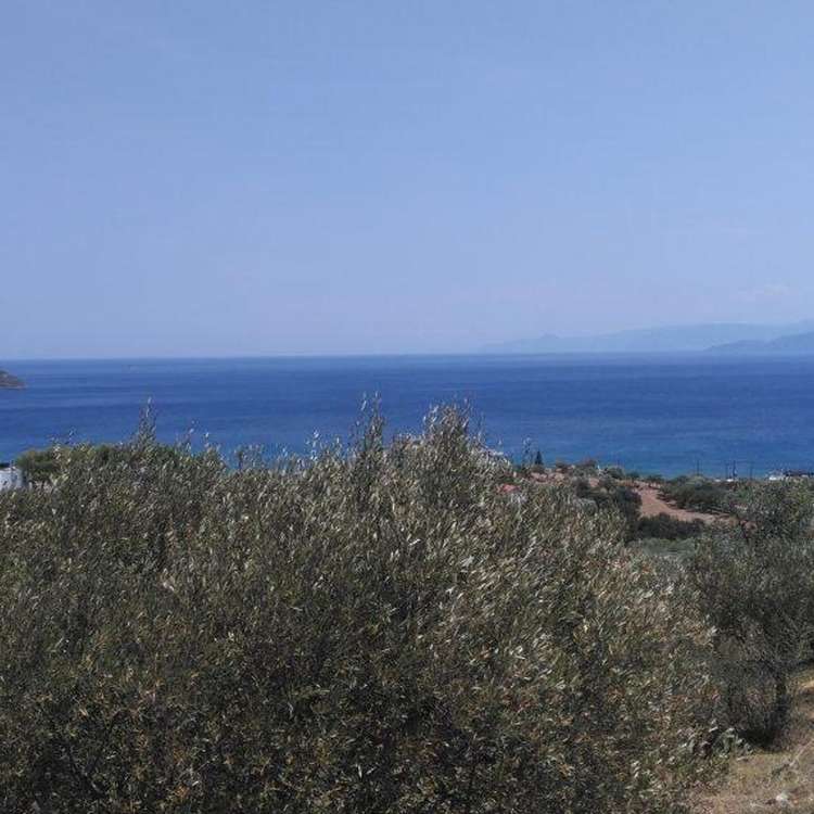 Aussicht