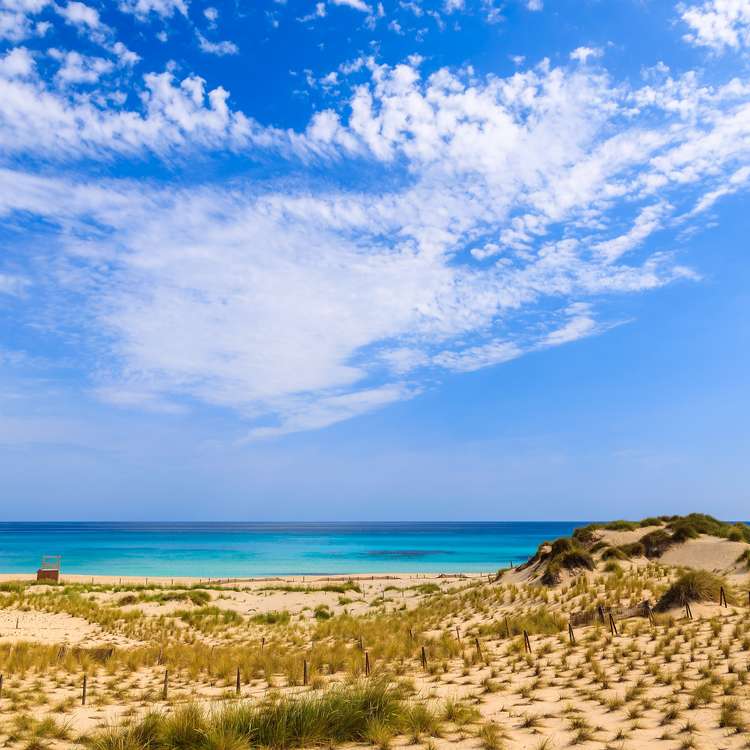 Square cala%20mesquida