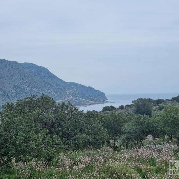 Aussicht