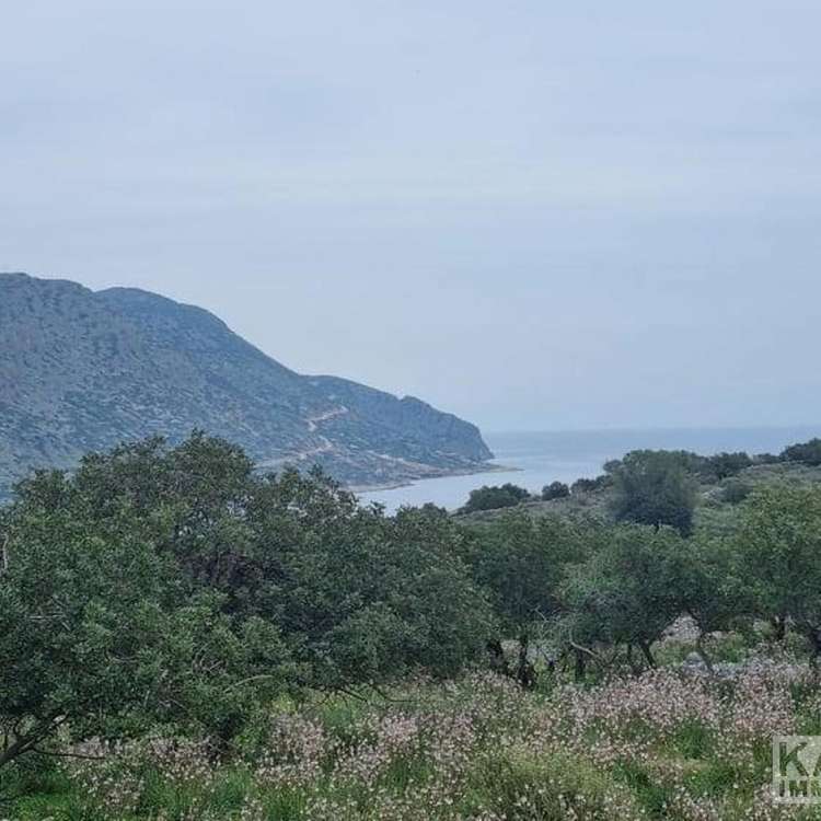 Aussicht