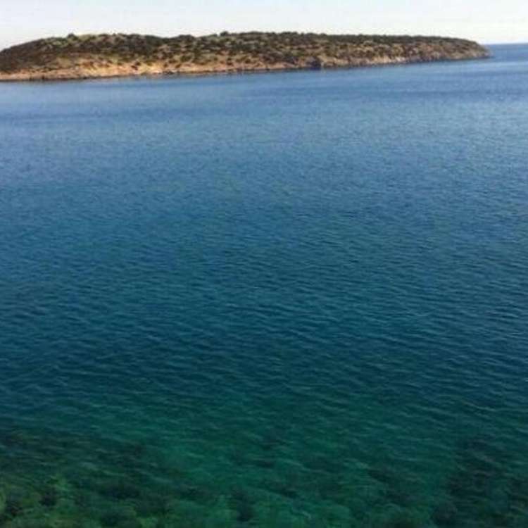 Aussicht