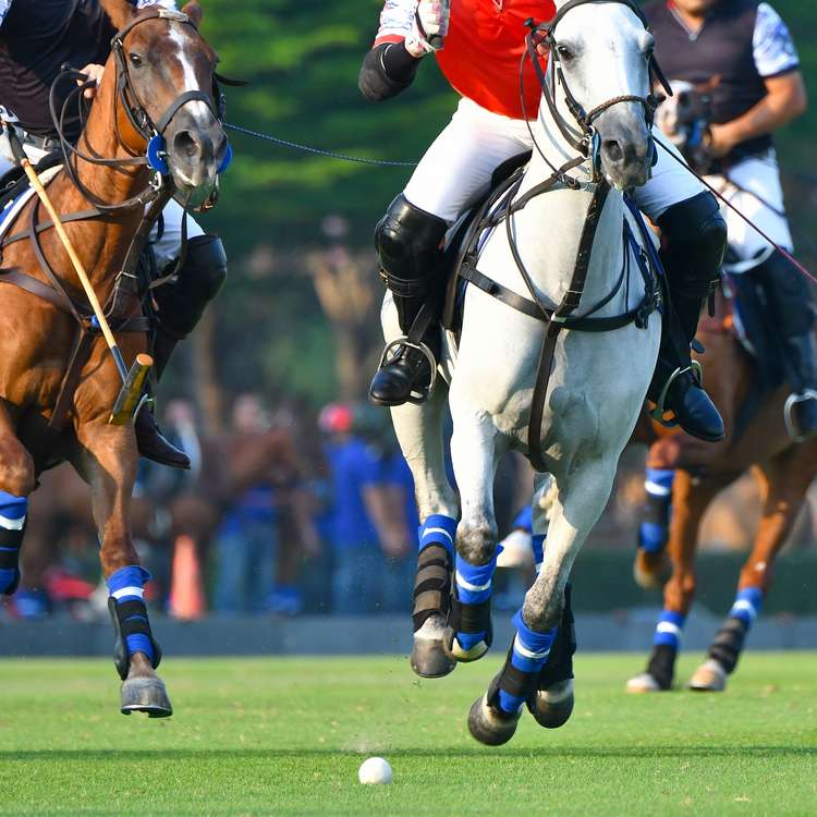 Square polo