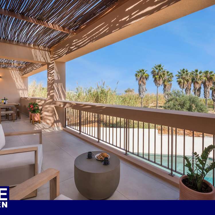 Olive Courtyard Collection