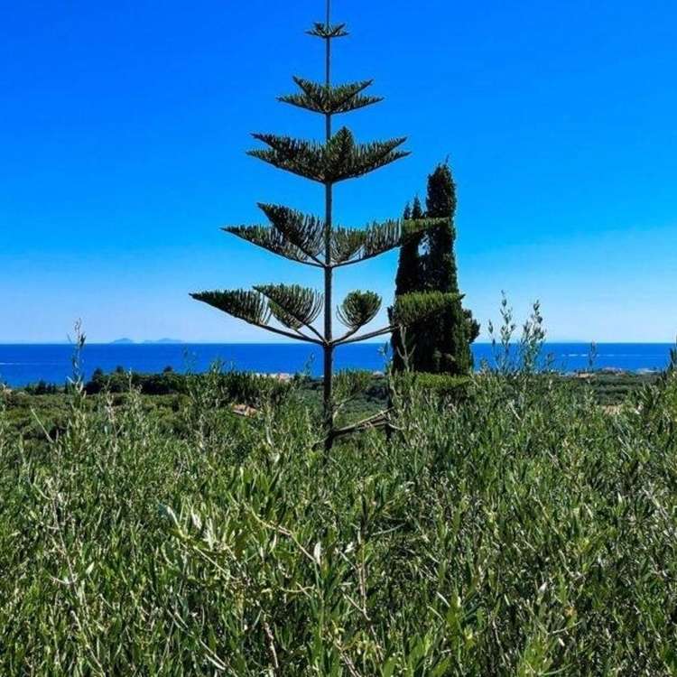 Aussicht