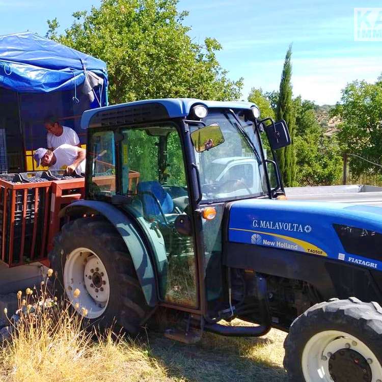 Square neubauimmobilien italien kalabrien traktor