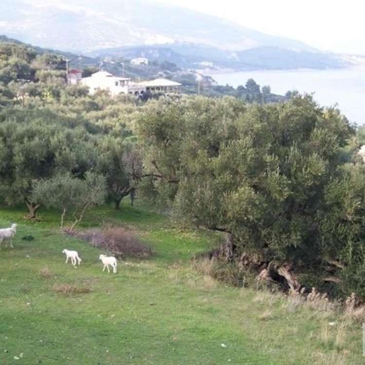 Aussicht