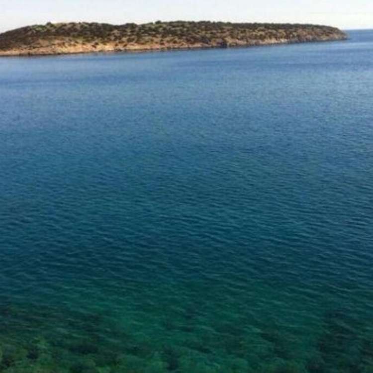 Aussicht