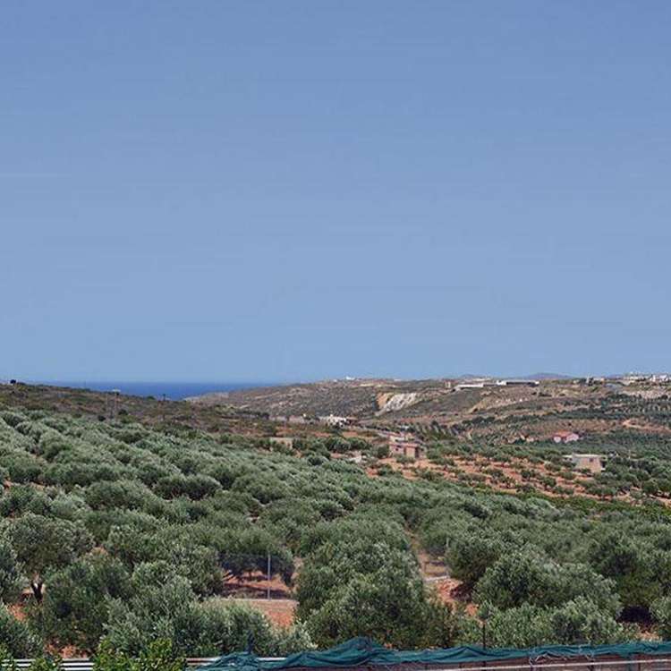 Aussicht