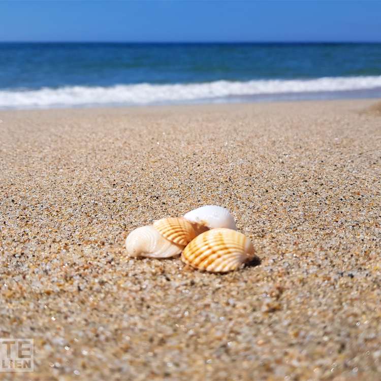 Nordsardinien