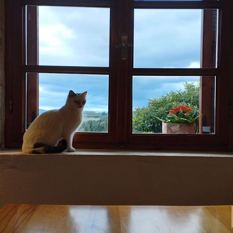 Aussicht