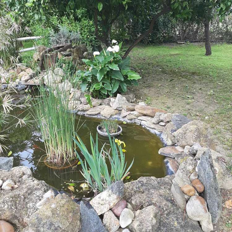 Garten