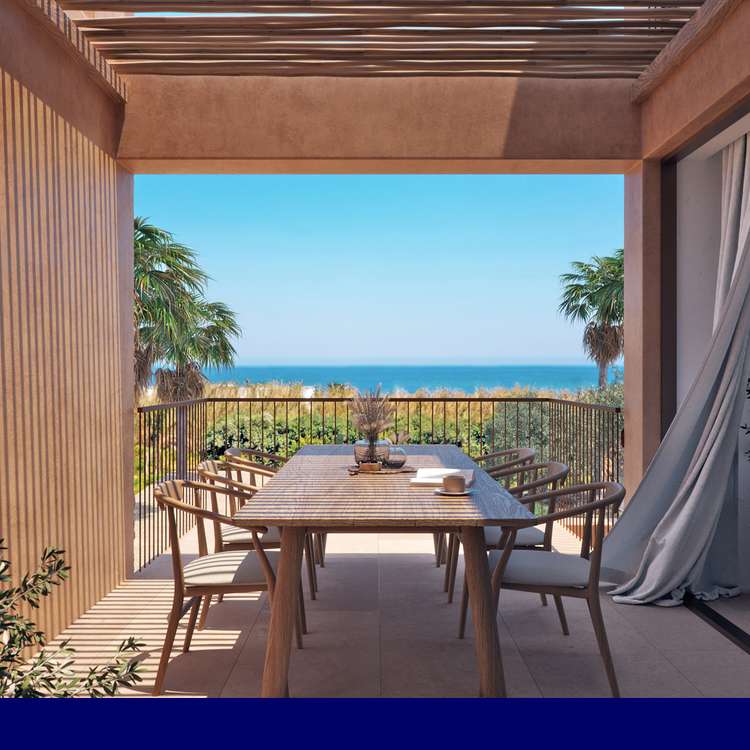 Olive Courtyard Collection