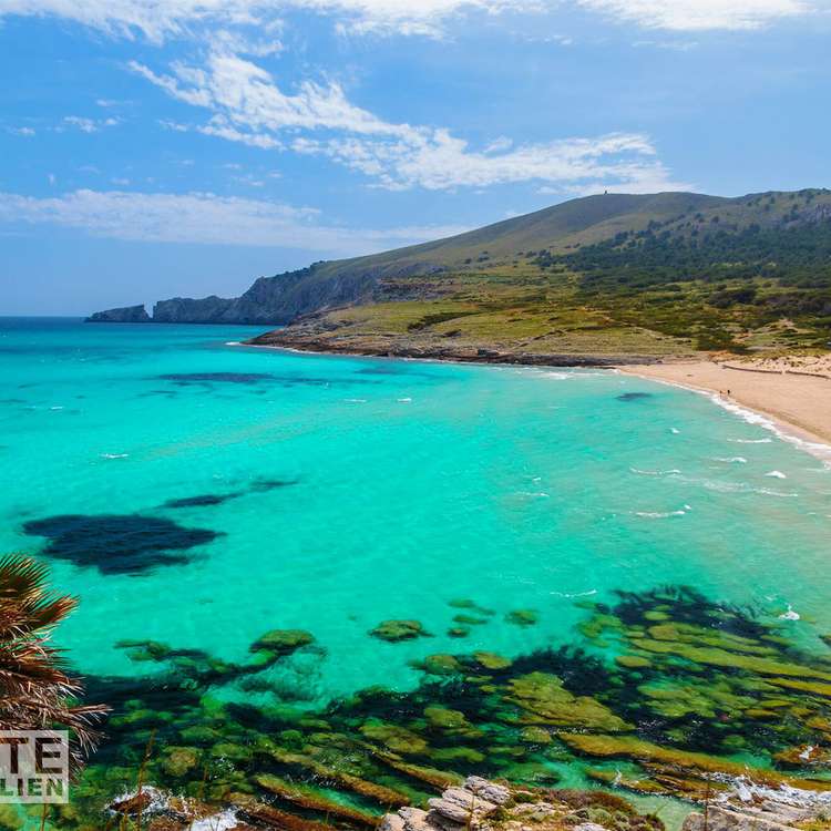 Square ferienimmobilien mallorca cala mesquida strand