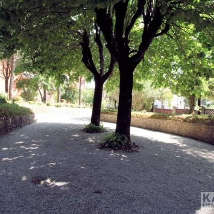 Garten