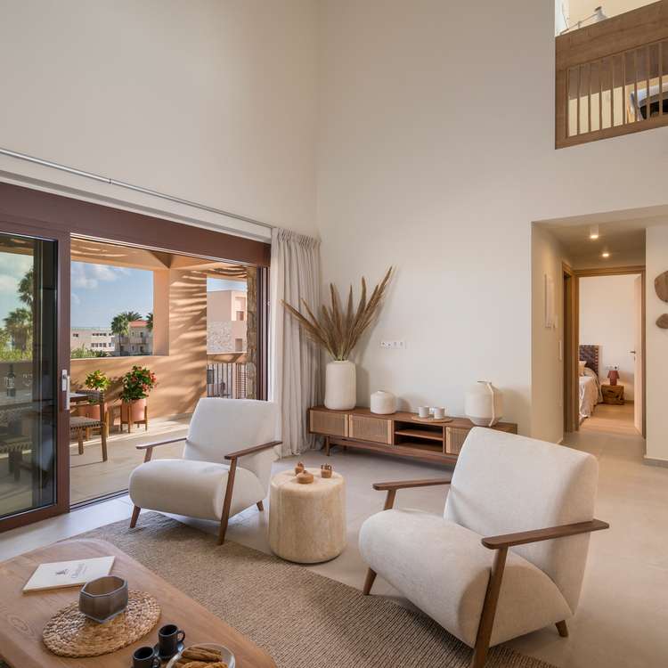 Olive Courtyard Collection