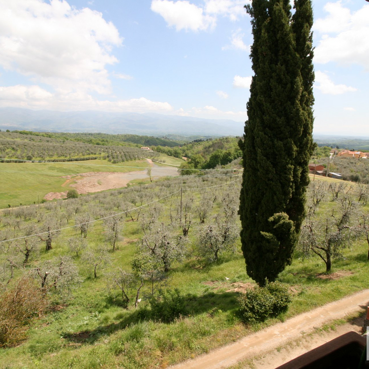 Balkon / Panoramablick
