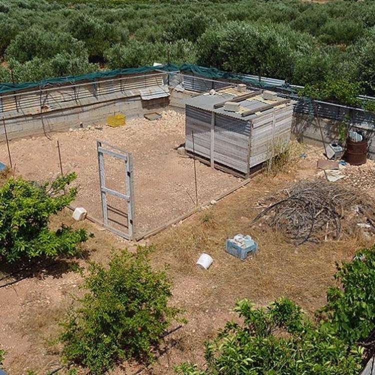 Garten