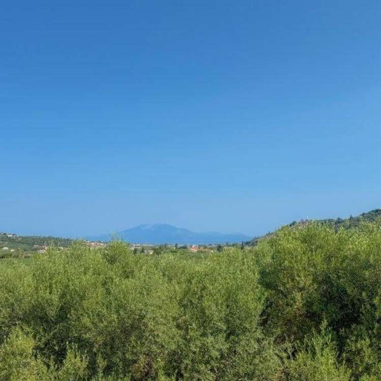 Aussicht