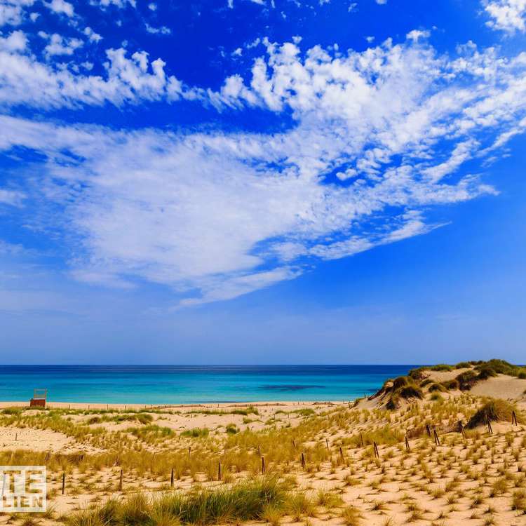 Square ferienimmobilien mallorca cala mesquida