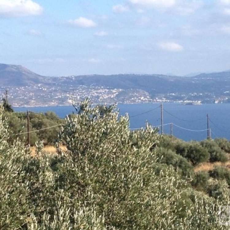 Aussicht