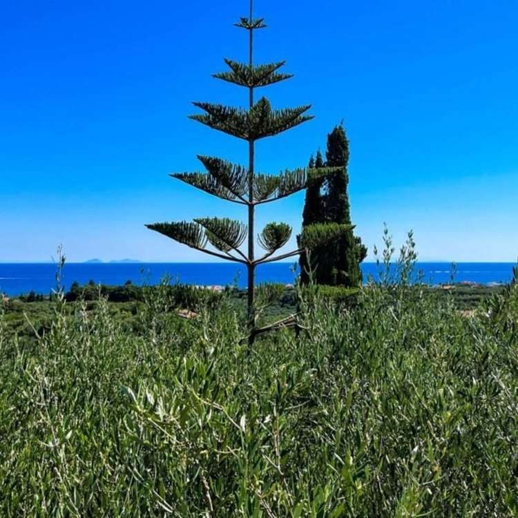 Aussicht