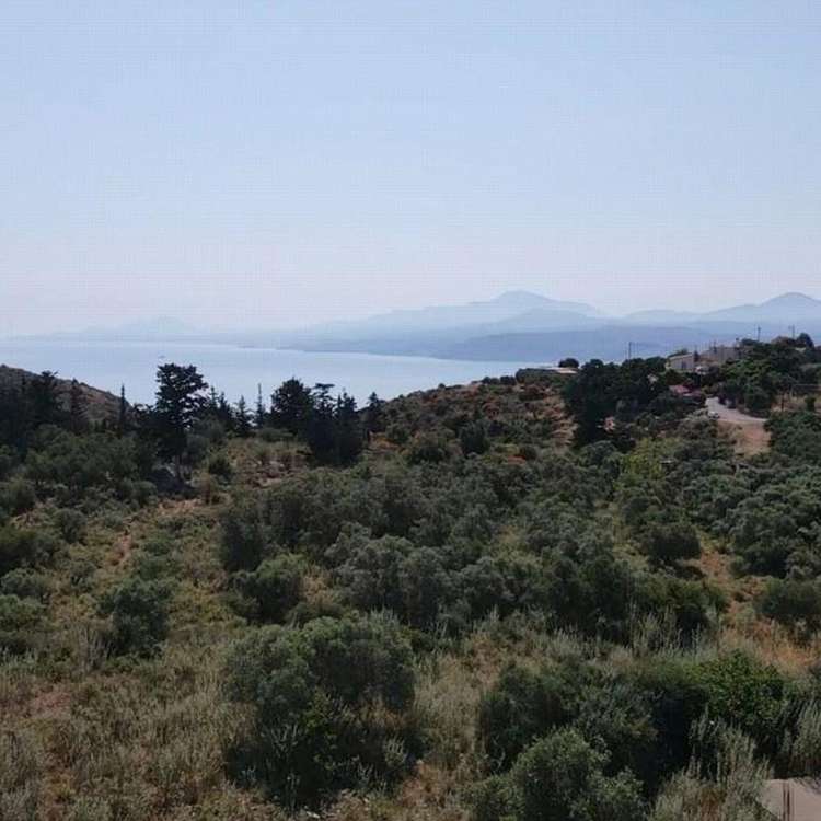 Aussicht