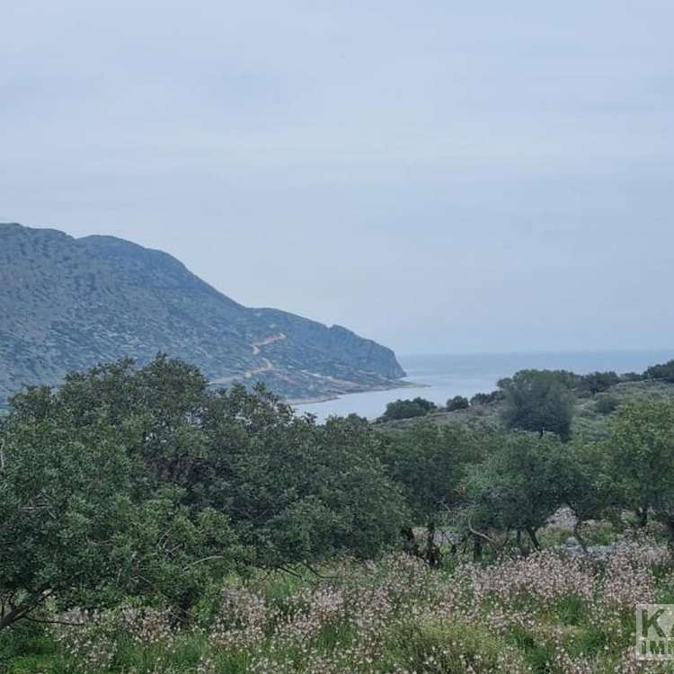 Aussicht